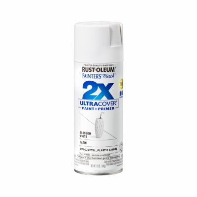 PT2X 12OZ Sat WHT Paint